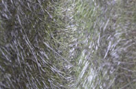 Llanarth fibreglass roof work